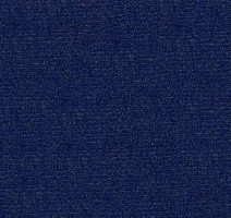 Ковролин Radici Abetone Bleu 2069 фото 1 | FLOORDEALER